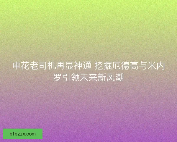 申花老司机再显神通 挖掘厄德高与米内罗引领未来新风潮