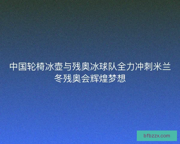 中国轮椅冰壶与残奥冰球队全力冲刺米兰冬残奥会辉煌梦想