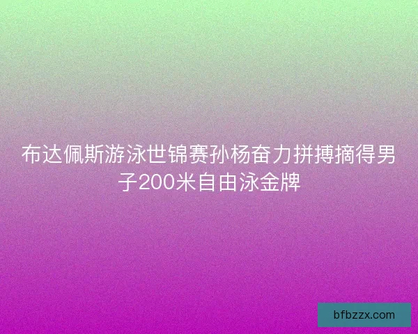 布达佩斯游泳世锦赛孙杨奋力拼搏摘得男子200米自由泳金牌 布达佩斯游泳世锦赛孙杨奋力拼搏摘得男子200米自由泳金牌