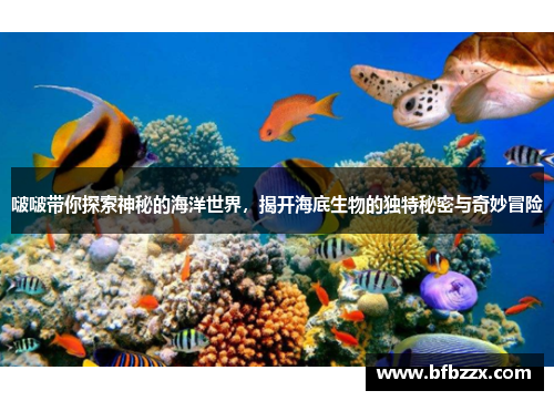 啵啵带你探索神秘的海洋世界，揭开海底生物的独特秘密与奇妙冒险